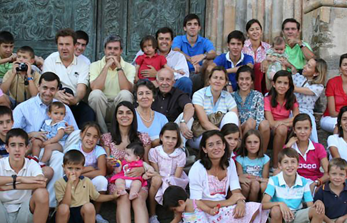 A large family consisting of parents, grandparents, aunts, uncles and children.