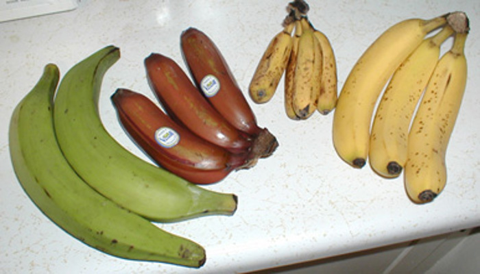 Banana varieties.