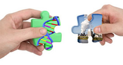 Gene and environment puzzle pieces.