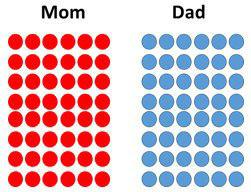 All red beads on mom’s side, all blue beads on dad’s side.