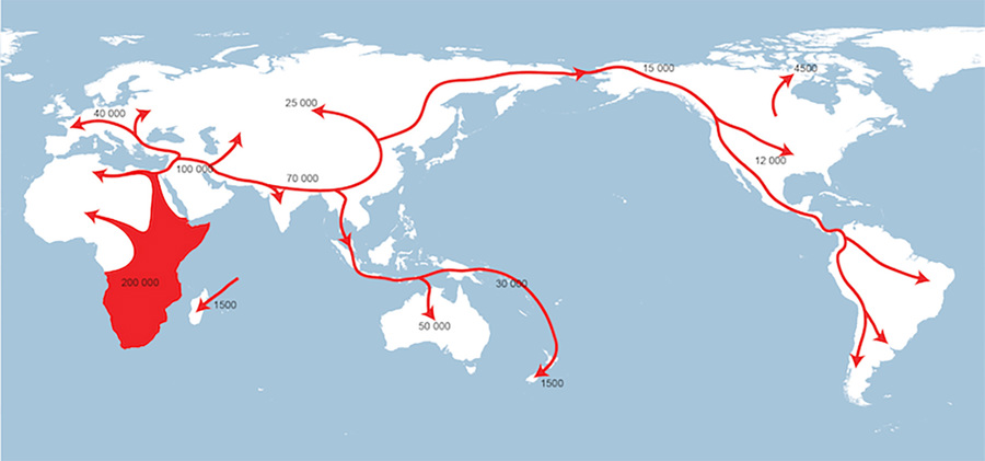 A world map with arrows marking the expansion of modern humans out of Africa, through Europe, Asia, and lastly the South Pacific and Americas.