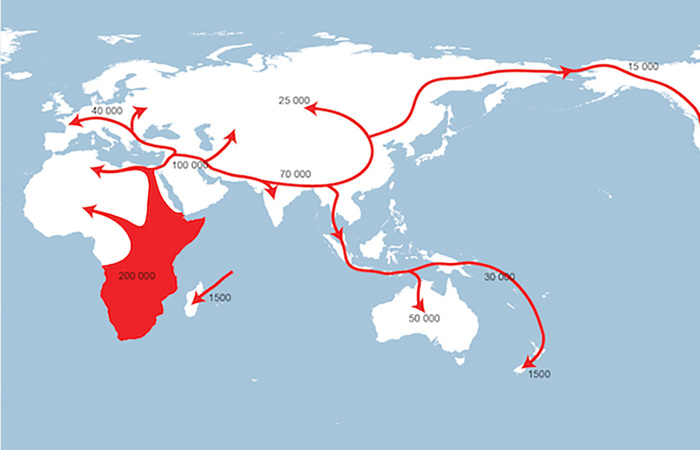 A world map with arrows marking the expansion of modern humans out of Africa, through Europe, Asia, and lastly the South Pacific and Americas.