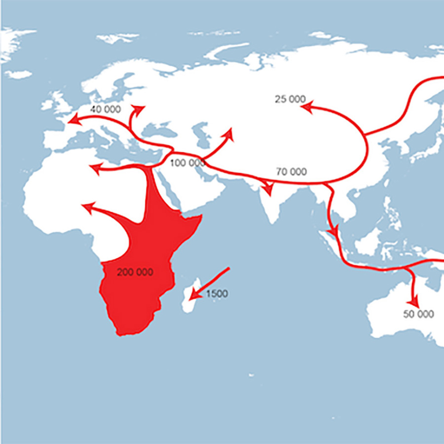 A world map with arrows marking the expansion of modern humans out of Africa, through Europe, Asia, and lastly the South Pacific and Americas.
