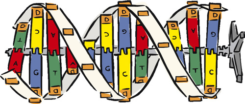 Colorful DNA drawing.