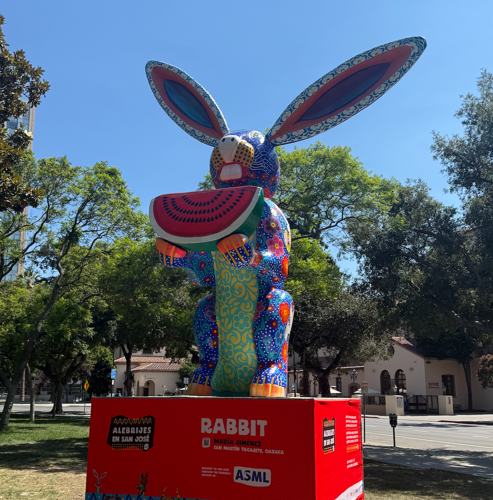Rabbit