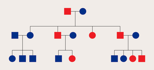 Pedigree chart