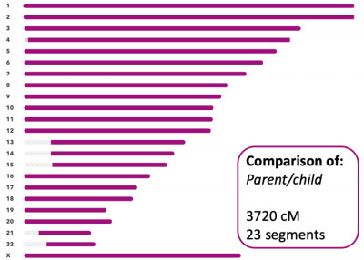 23andMe comparison of parent and child.