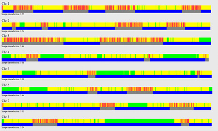 Chromosome sharing for full siblings.