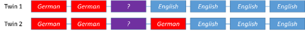 A series of linked boxes for each twin. Each series has an unknown label.