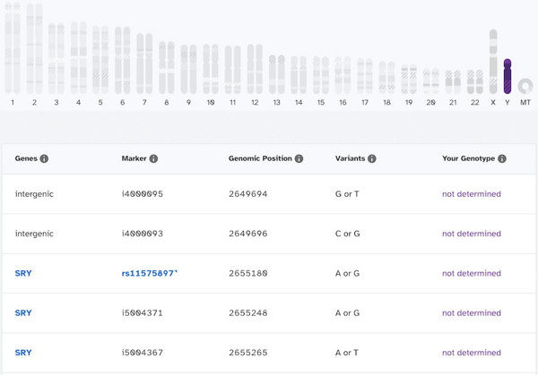 Raw data browser.