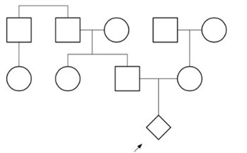 Pedigree with three generations in a single family