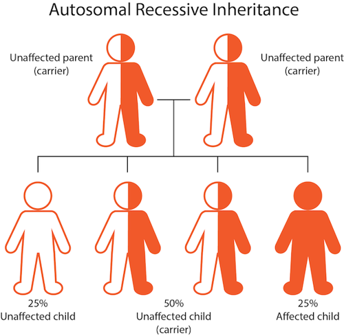 Recessive inheritance