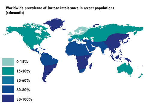World map of prevalence of lactose intolerance