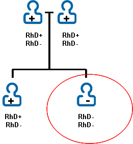 RhD family tree.