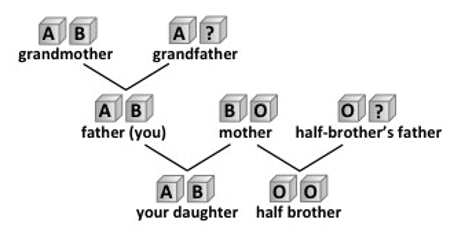 Family tree.