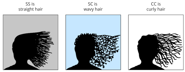 Hair type genotypes.