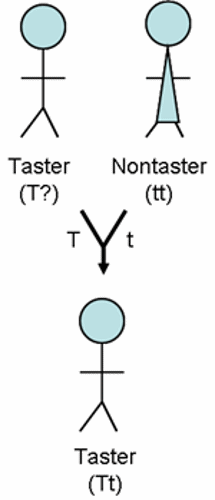 Recessive inheritance.