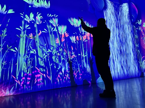 Man raises his arms to make flowers grow in Dream Garden