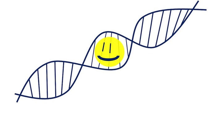 DNA with a smiley face inside.
