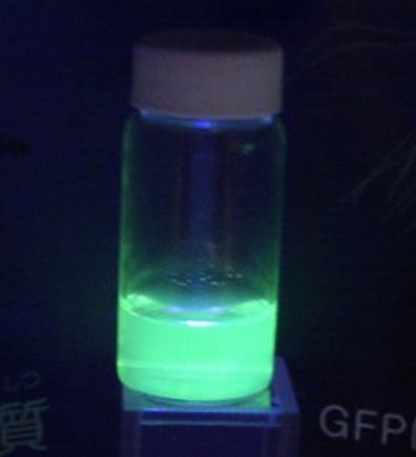 Green fluorescent protein