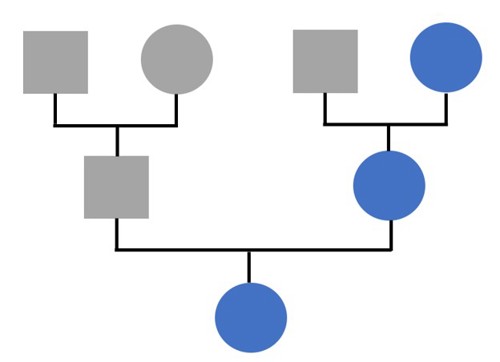 Pedigree showing three generations, with maternal lineage shown in blue. Boxes represent biological males while circles represent biological females.