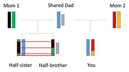 Recombination.