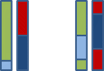 Sibling chromosomes