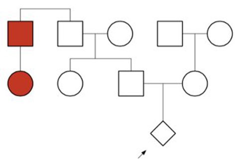 Pedigree with three generations in a single family. Two individuals are colored in red.