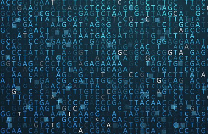 DNA samples.