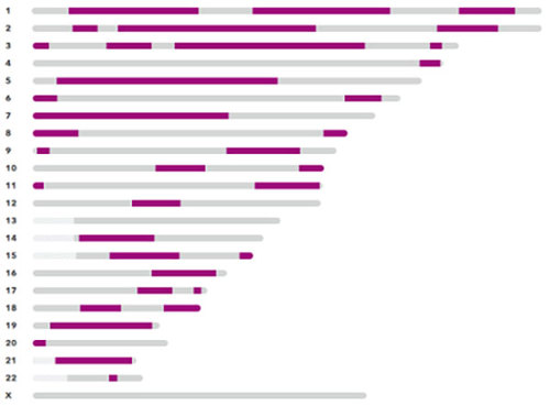 23andMe screenshot.