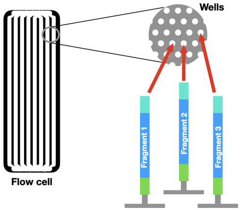 Flow cell diagram.