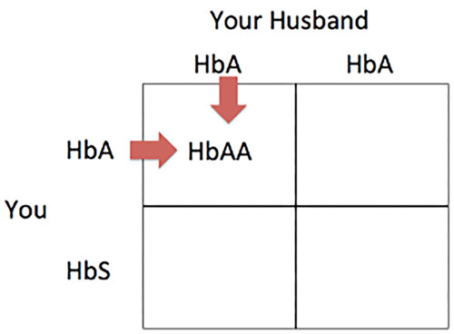 Filled punnett square.