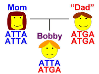 A family tree showing a mother, child, and a possible father, with DNA sequences shown.