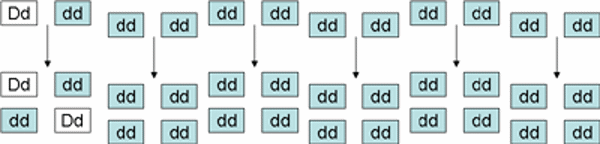 Dimple inheritance.