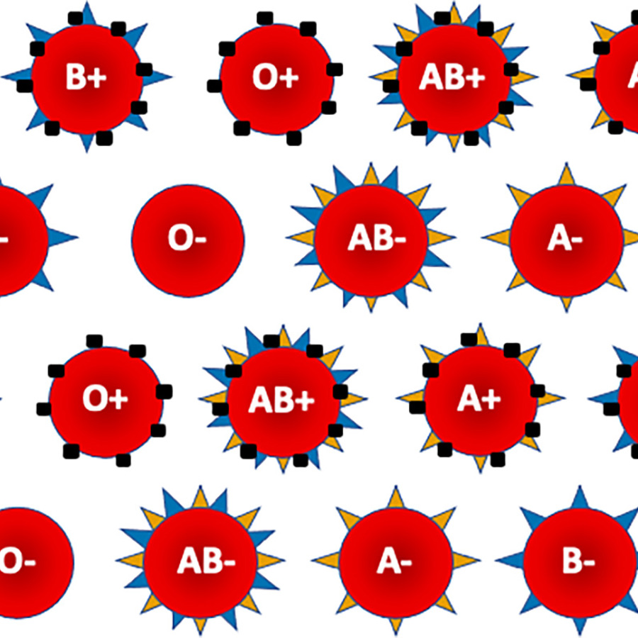 ABO Rh bloodtypes.