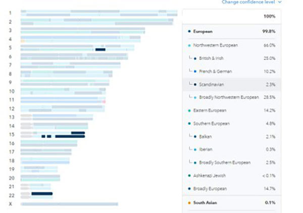 A snapshot highlighting chromosome segments with Scandinavian ancestry.