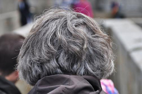 The back of someone’s head, with gray hair.