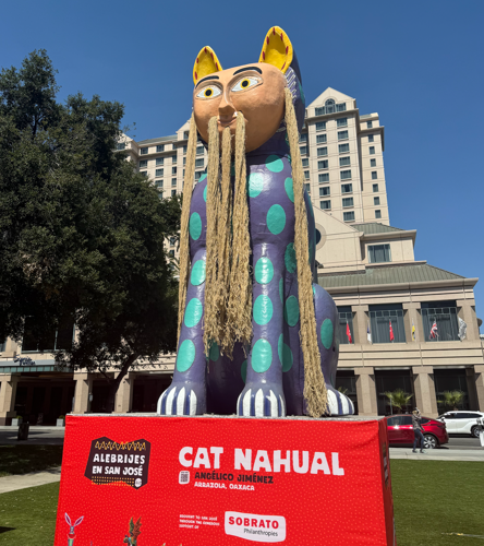 Cat Nahual