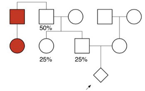 Pedigree with three generations in a single family. Two individuals are colored in red, with risk labeled for the grandfather, aunt, and father.