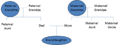 A three generation family tree.