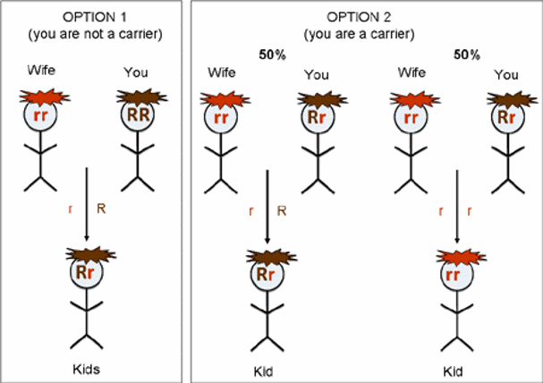 Two inheritance options.