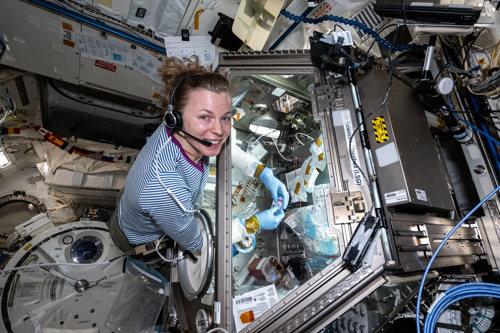 Photograph of NASA astronaut looking up at the camera while handling bone samples inside a sealed workbench in space.