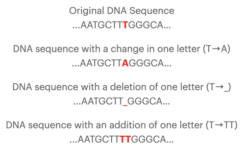 Polymorphisms examples.