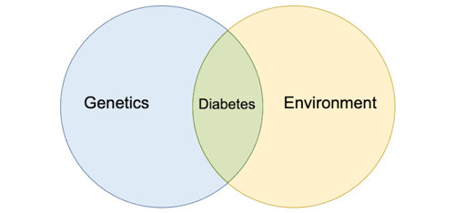 Genetics and environment.