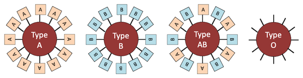 Blood type decorations