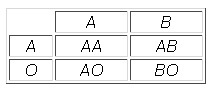 Punnett square.