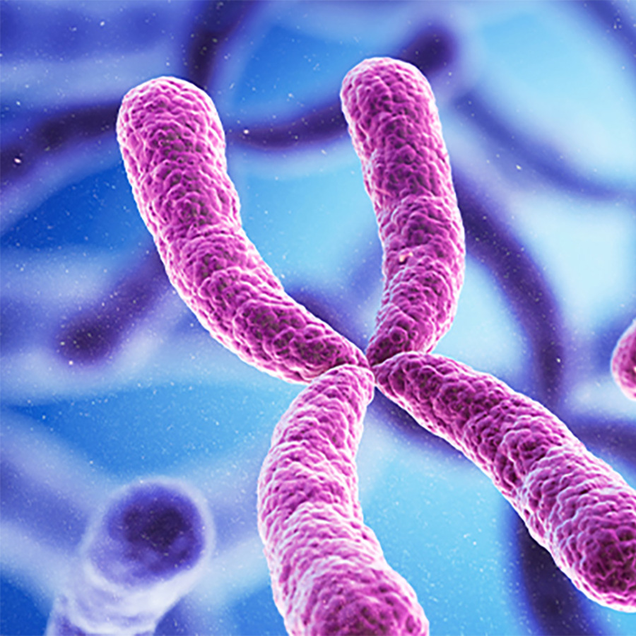 3D rendering chromosomes.