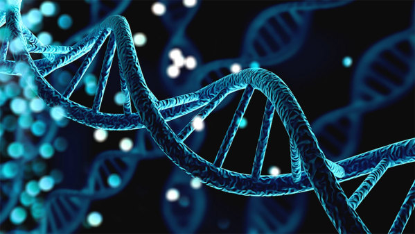 DNA helix.