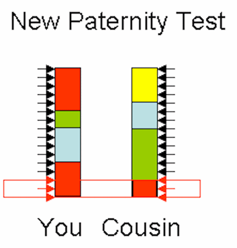 Paternity test