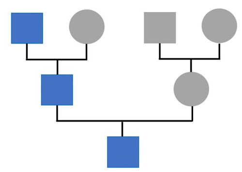 Pedigree showing three generations, with paternal lineage shown in blue. Boxes represent biological males while circles represent biological females.